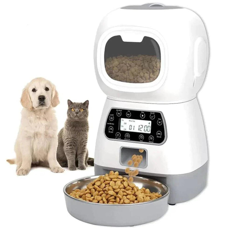 Alimentador Automático para Cães e Gatos - WM COMPRAS