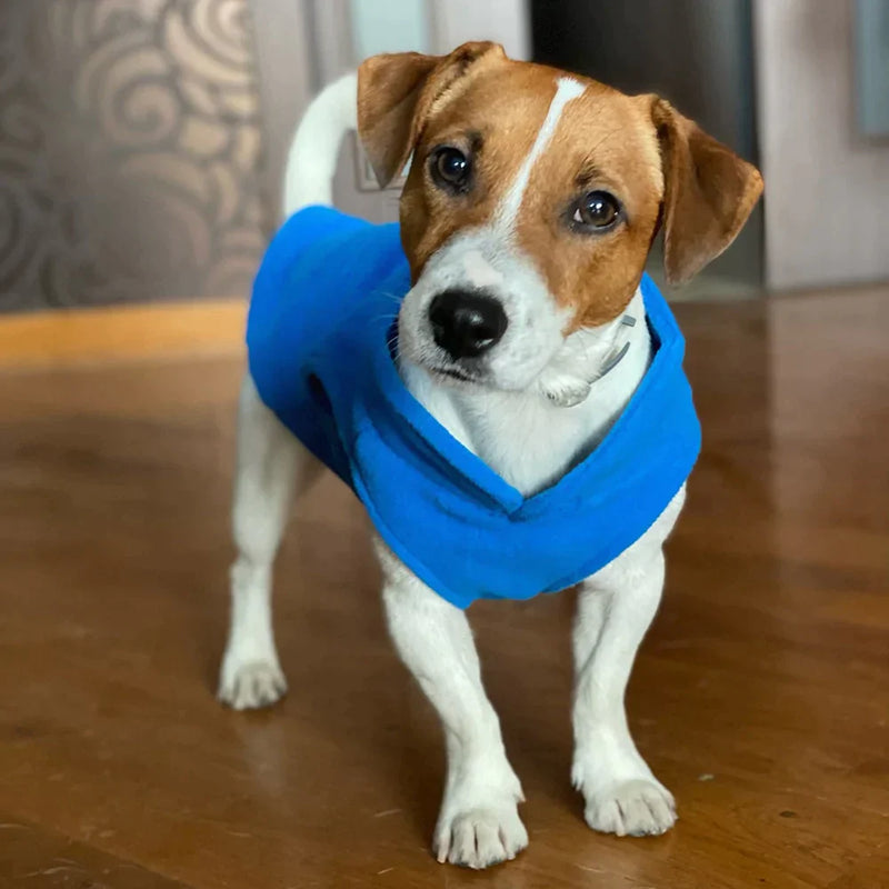 Roupinha para cães - WM COMPRAS